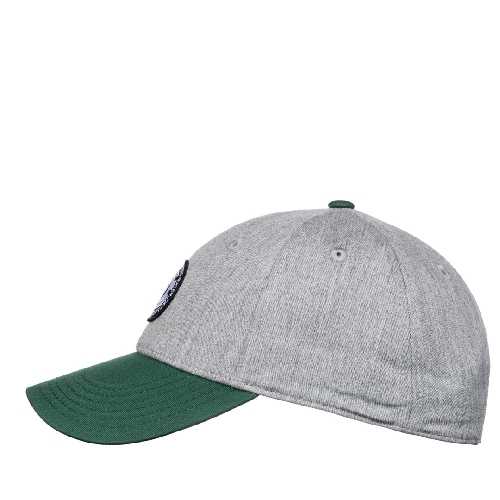 ELEMENT TREELOGO 2.0 CAP Mid Grey Heather