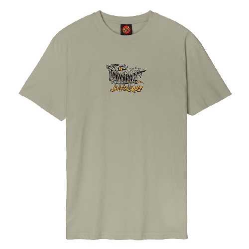 SANTA CRUZ BRAUN FEVER DREAM TEE Stone Grey