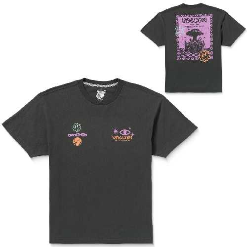 VOLCOM FA F RYGALSKI SS TEE Stealth