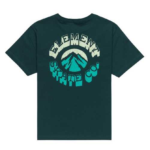 ELEMENT AMBITION TEE YOUTH Reflective pond