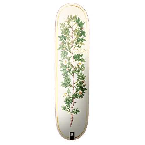 PLAN B BLOOM MCCLUNG DECK 8 x 31.33