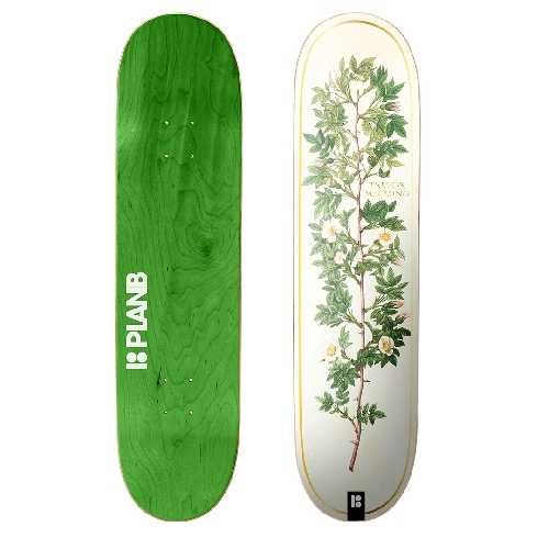 PLAN B BLOOM MCCLUNG DECK 8 x 31.33